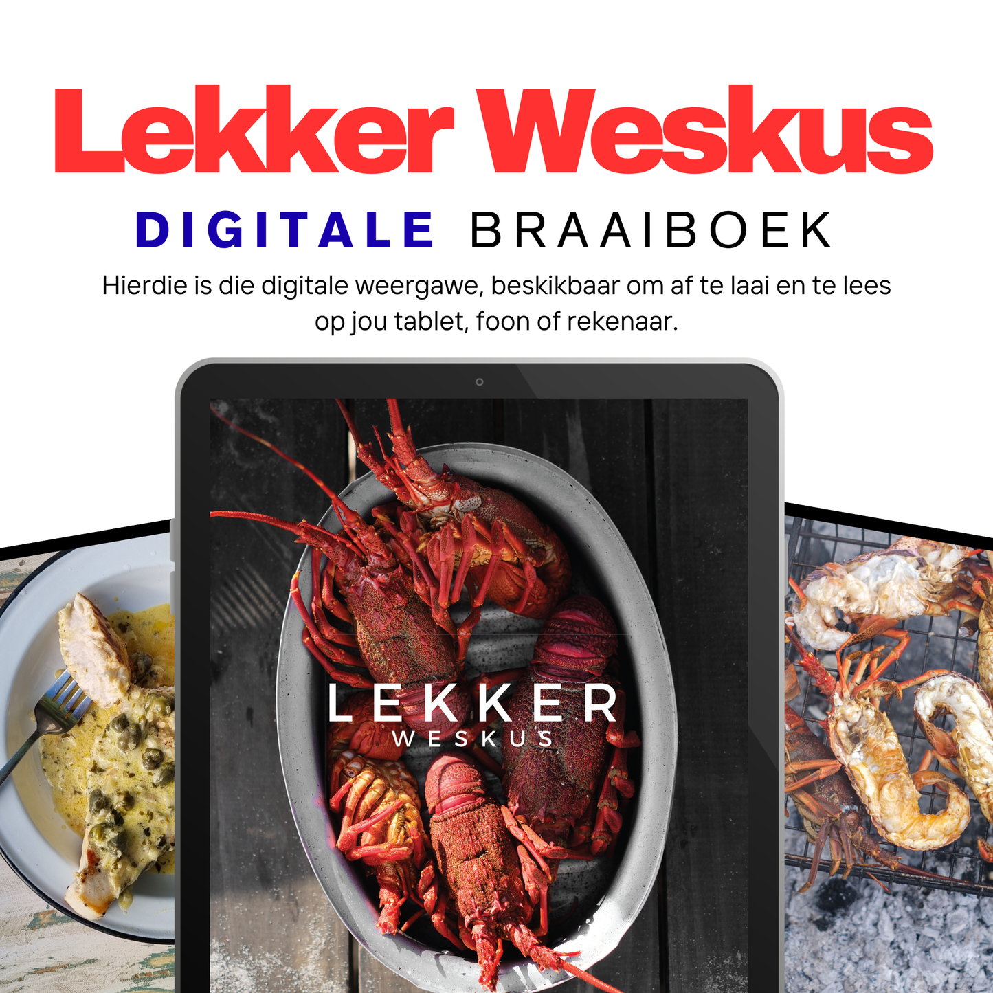 DIGITAAL: Lekker Weskus Braai Boek 2025